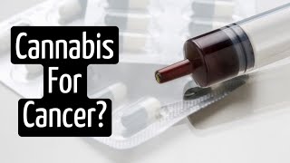 How Does Cannabis Help with Cancer? | Discover Marijuana