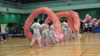 第7屆全港公開技能舞龍錦標賽 7th HK Open Skilled Dragon Dance Competition 青年組 競速龍 20161106