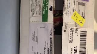 Unboxing my new investment grade Ball Python