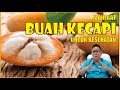 MANFAAT BUAH KECAPI UNTUK KESEHATAN