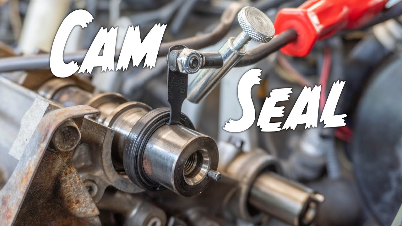 Timing Belt Seal Leak At Kayla Clubbe Blog