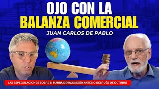 Juan Carlos de Pablo sobre cuándo será la devaluación y qué mirar | Maxi Montenegro