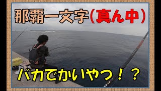 【バカでかい魚】ダメかと思ったが、彼がまたやってくれた一日！【那覇一文字真ん中】