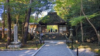 Honen-in Kyoto Japan 2024 Nov 03 60fps