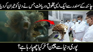 Mysterious Creature Found In The Sea Of China Urdu Hindi