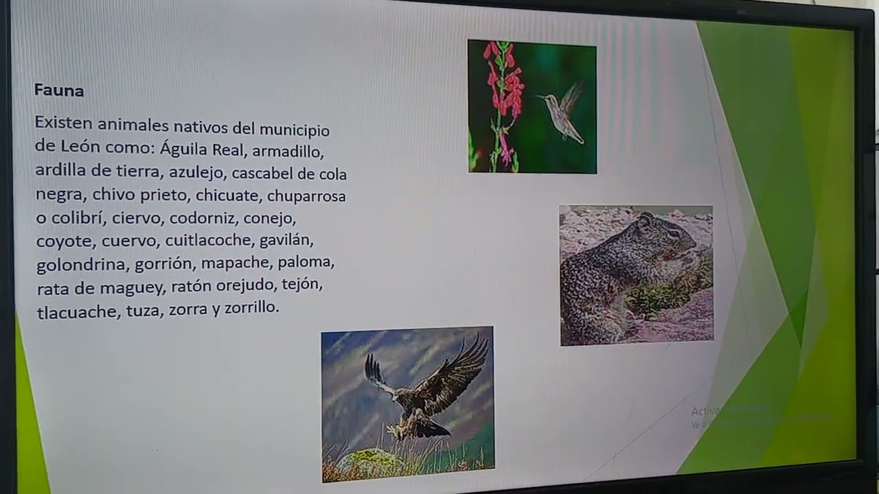 Biodiversidad Y Ecosistemas En León, Guanajuato. - YouTube