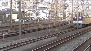 2015/02/09　東海道本線　平塚－相模貨物　JR貨物　EF65-2083（新鶴見）＋西武鉄道　3000系