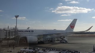 伊丹空港離陸　ボクにも乗れた！JAL124便　A350-900　JP07XJ　搭乗６回目