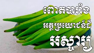 គុណប្រយោជន៍ដ៏អស្ចារ្យទាំង១០របស់ពោត​បារាំងចំពោះសុខភាព ​- Health Inform