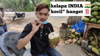 Ternyata HARGA KELAPA MUDA di India Mahal dan KECIL-KECIL