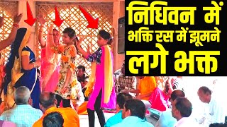 Nidhivan ka Rahasya | Nidhivan Mathura | Nidhivan Vrindavan | Nidhivan Night Video