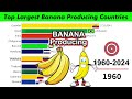 World's Top Largest Banana Producing Countries 1960 - 2024