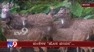 Forest Officials Translocate Rare Spotted Deers Confined In An Estate Illegally For More Than 8 Yrs