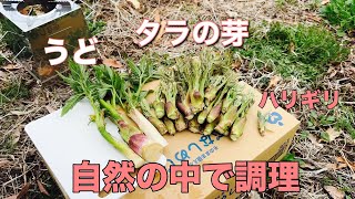 山で採れた山菜を料理します！