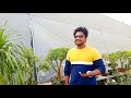 costly plants kadiyam nursery rajesh kanna vlogs