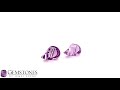 4.48ct amethyst pair gemstones by jewel scene