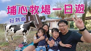 【My Baby of Life】育嬰爸GO GO/ 埔心牧場一日遊，但是好熱啊！每年的暑假埔心牧場都會免費入園，所以一定要去哦 l GoPro 6。 #.23