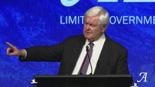Newt Gingrich: Cut Taxes, Save States