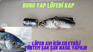 LÜFER AVI,NDA ETKİLİ SİSTEM BUNU DENEYİN