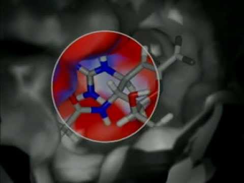 Computational chemistry