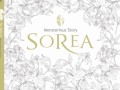 sorea band 소리아밴드 endless love monsterious story