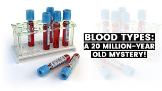 Blood Types: A 20 Million-Year-Old Mystery!