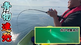 【陸奥湾ボート】青森陸奥湾で青物連発！！水中カメラに魚の群れが！！