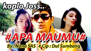 APA MAUMU cover lagu doel sumbang Versi dangdut koplo by Nana sas saxophone