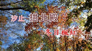 汐止 拱北殿 冬日楓紅