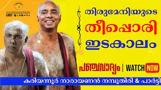 തീപ്പൊരി !!! 😍🔥 Panchavadyam idakalam by Kariyannoor Narayanan Namboothiri \u0026 Party | പഞ്ചവാദ്യം ❤️