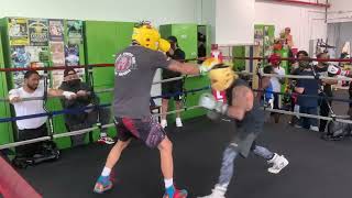 🥊BOXING - SPAR WARZ!! TrueFlow VS CHALLENGERS (OPEN SPARRING - Vol. 1)