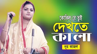 ওরে কোকিল রে তুই দেখতে কালা তর মনে কে দিল জ্বালা নূর কাজলের বিচ্ছেদ গান_Nur Kajol_Top Baul Music