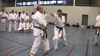 Sensei Wim Massee teaching sanbon kumite jodan uke 1-4 (Wado ryu)