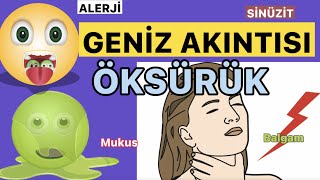 BOĞAZINIZDA OLUŞAN BALGAM,GENİZ AKINTISI VE ÖKSÜRÜK NEDEN OLUR? NASIL GEÇER?#sinüzit #alerji