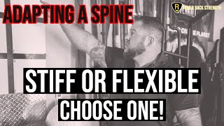 McGill Method tip - Adapting a spine - stiff or flexible - choose one