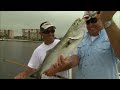 bluefish on light tackle bill dance saltwater