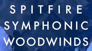 Spitfire Walkthrough: Spitfire Symphonic Woodwinds