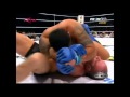 -Fedor Emelianenko vs Mark Hunt, PRIDE Shockwave