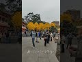 花城无处不飞花！广州光孝寺！黄花风铃木，花开正～