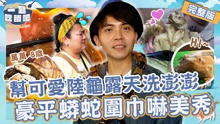 【2023台中景點】神級A5和牛香嫩多汁！黃豪平朝聖爬蟲咖啡「蟒蛇當圍巾」嚇跑美秀姐！幫可愛陸龜露天洗澎澎超蘇湖！【#一起吃飯吧】20231214 EP22 完整版｜台中🍚｜林美秀 黃豪平 楊銘威