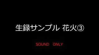 生録サンプル 花火③