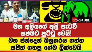 මහ අලියගේ අලි පැටව් සජබට පූට්ටු වෙයි!