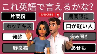 これ英語で言えるかな？ -  Can you say this in English? part 7!