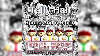 Tally Hall - Spring And A Storm (SM64 Remix)