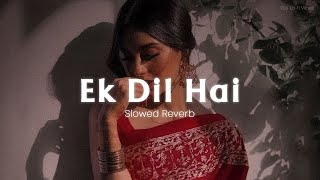Ek Dil Hai - [Slowed+Reverb] Ek Rishtaa | Akshay Kumar, Karisma Kapoor | Hindi Romantic Song