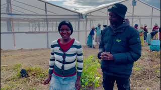 Commissioning of the 500sqm Wooden Greenhouse at Chipinge for the Batanai Gardens Community