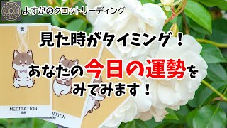 見た時がタイミング！あなたの今日の運勢✨