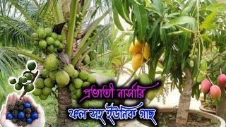 ফল সহ ইউনিক গাছের জন্য ভিডিও অবশ্যই দেখবেন || Vorer Alo