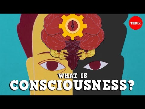 Which of the following is the best definition of consciousness?