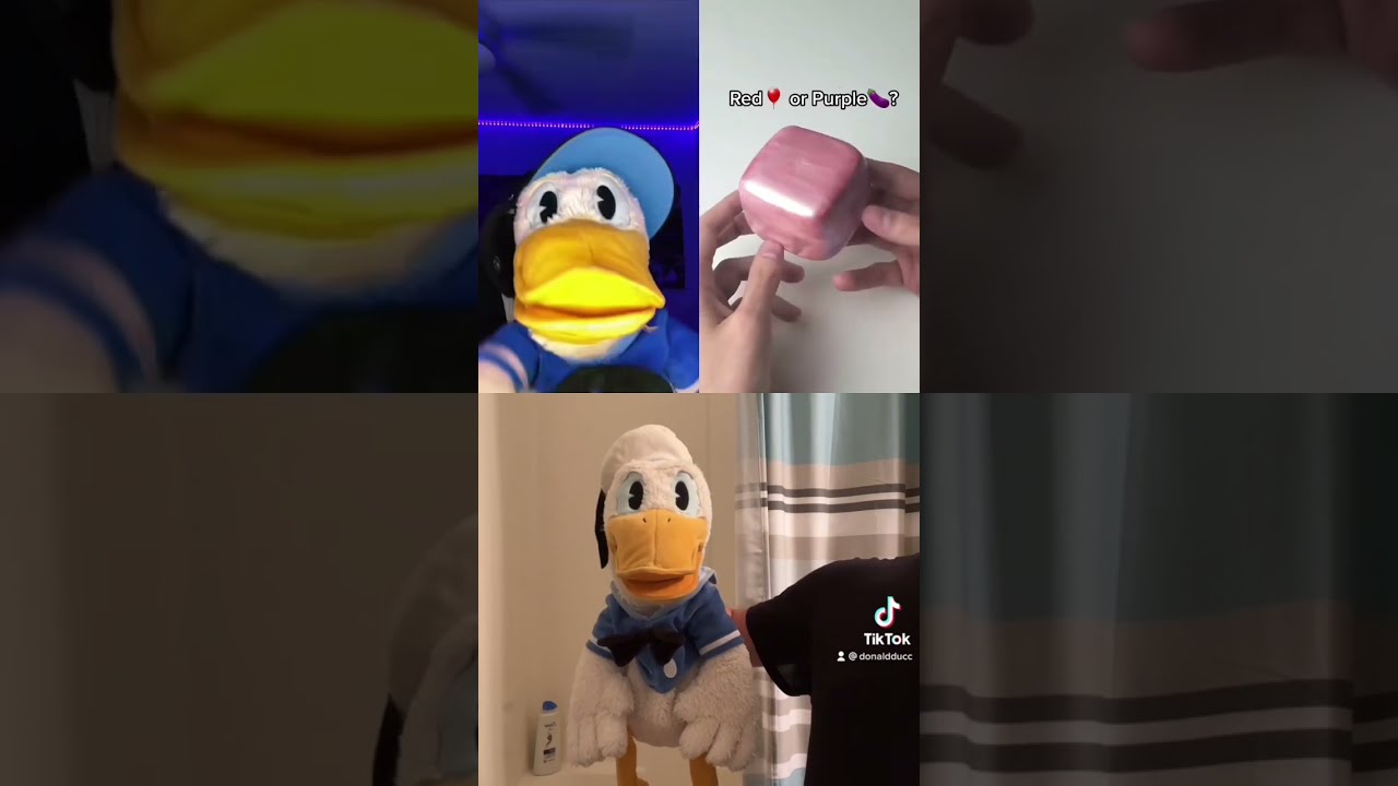Donald Duck can’t deal with Donald Duck #shorts